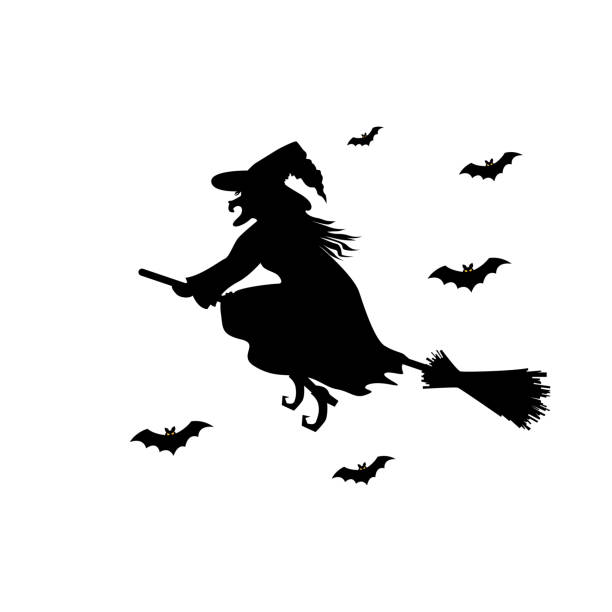 Web Witch  black   silhouette on  broomstick isolated on white background. Vector illustration. isolated bat stock illustrations