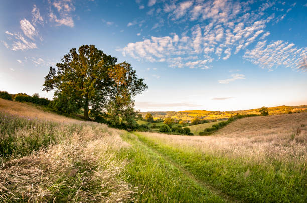 Beautiful Landscape View In Gloucestershire, Southwest Of England