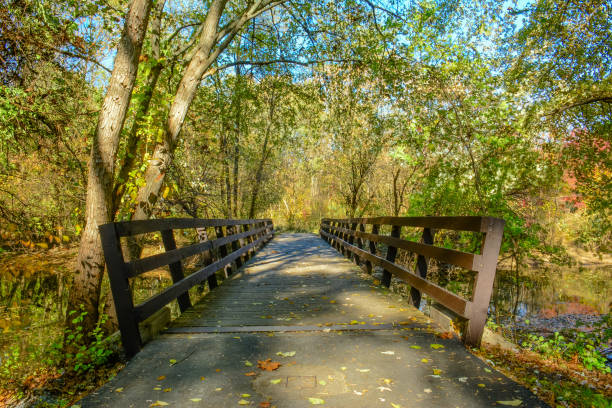 istock Wooden bridge in the park 857606608