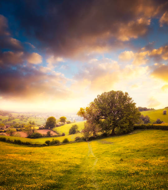 beau coucher de soleil sur une vue de paysage dans la région des cotswolds, angleterre - cotswold photos et images de collection