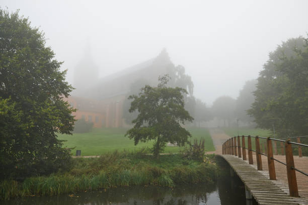 istock Trees in a park in Odense - Denmark 857609072