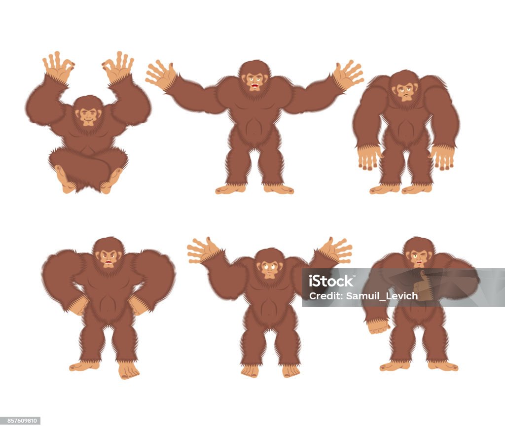 Bigfoot set poses and motion. Yeti happy and yoga. Abominable snowman sleeping and angry. Monster guilty and sad. Vector illustration Bigfoot stock vector