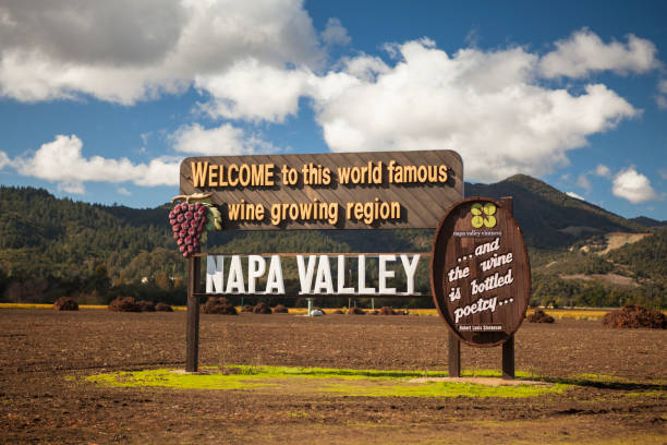 напа калифорния сша приветственный знак на винодельне - napa valley vineyard sign welcome sign стоковые фото и изображения
