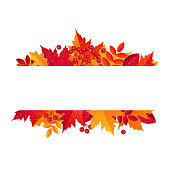 istock Autumn Sale Horizontal Banner. Vector illustration template 857616118