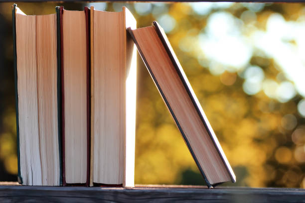 istock autumn book stack wooden outdoor 857619432