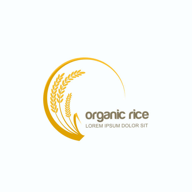 Vector label or emblem with rice, wheat, rye grains. Design template for asian agriculture, cereal and bakery. Vector label or package circle emblem with yellow rice, wheat, rye grains. Design template for asian agriculture, organic cereal products, bread and bakery. insignia healthy eating gold nature stock illustrations