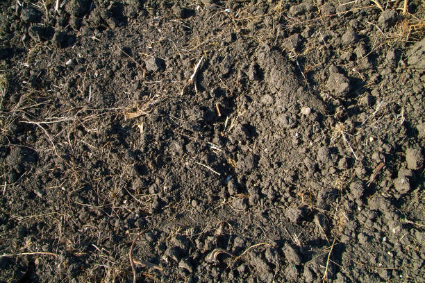istock Textured background of plowed land. Earth texture 857626550