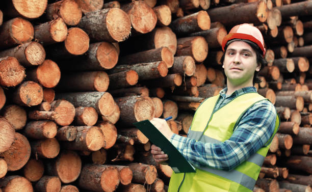 istock Worker in helmet counts wood lumber 857629992