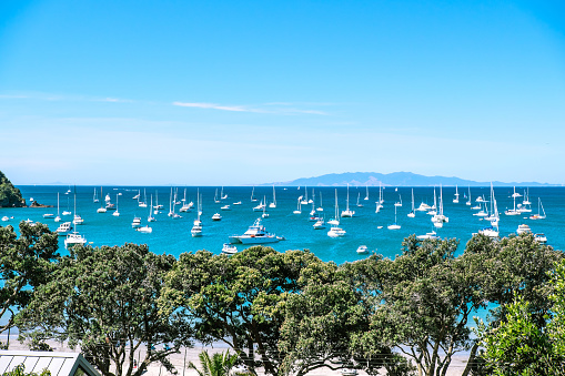 Busy crowded anchorage with many boats causing possible water pollution and contamination at Oneroa Beach Bay, Waiheke Island, New Zealand, NZ