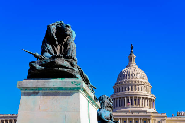istock US Capital Building, Washington, DC. 857630928