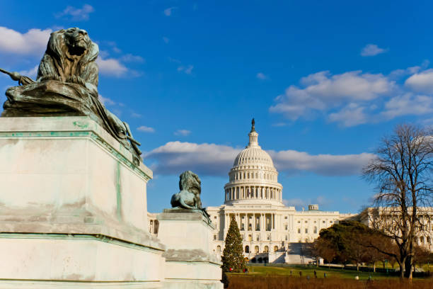 istock US Capital Building, Washington, DC. 857630950