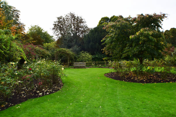 istock Autumn Roses Garden 857634542