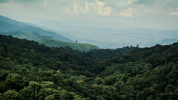 landscape of   Mountain ,in Thailand  . stock photo