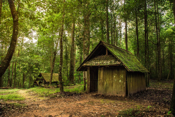 istock Old wooden cottage in the forest . 857637898