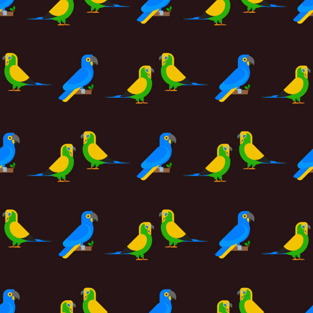 Parrots birds seamless pattern animal nature tropical parakeets education colorful pet vector illustration Parrots birds seamless pattern animal nature tropical parakeets education colorful pet vector illustration. Macaw wild beak wing exotic color avian perch feather avifauna. parrots beak heliconia stock illustrations