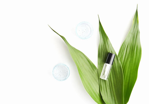 istock White cream bottle placed, Blank label package for mock up on a green foliage background. The concept of natural beauty products. 857642644