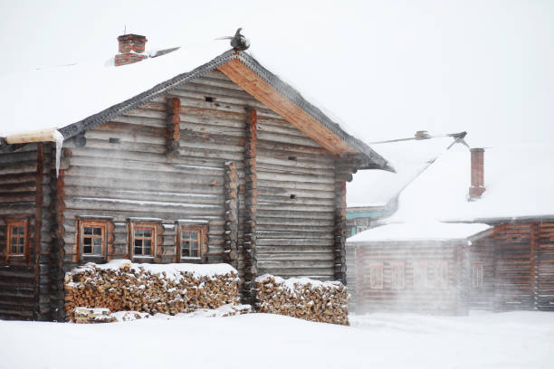 casa in legno retrò nella foresta nel nord russo - russian ethnicity cold relaxation nature foto e immagini stock