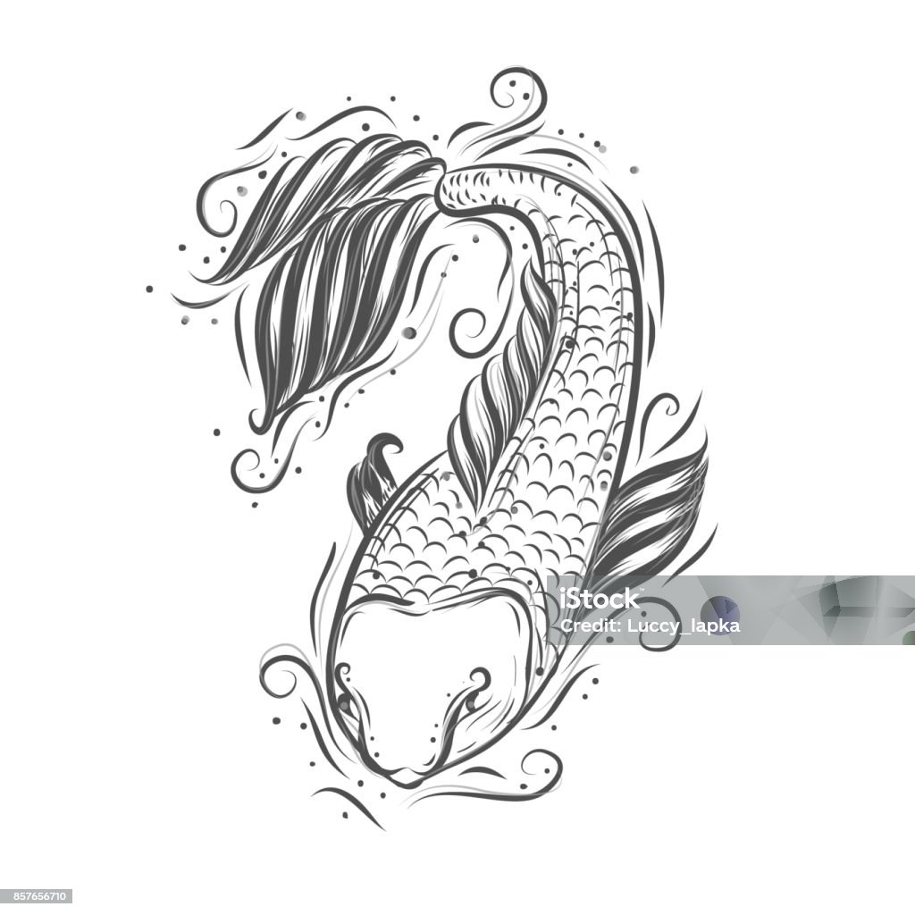 Cá Chép Nhật Bản Xinh Đẹp Koi Hình Minh Họa Vector Vẽ Tay Phong ...