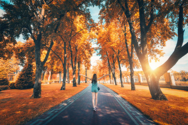 秋の美しい景色木は路地と腕を上がっている幸せな若い女の子。秋の素晴らしい公園。女性の木、黄色の葉、通路のある風景します。ライフ スタイルの背景。国立公園 - single lane road footpath flower formal garden ストックフォトと画像