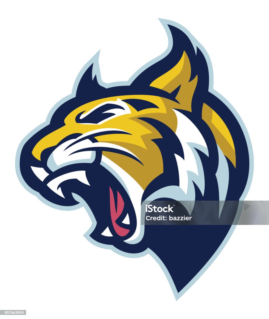 Wildcat head vector of Wildcat head Bobcat stock vector