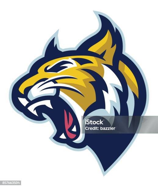 Wildcat Head Stock Illustration - Download Image Now - Bobcat, Wildcat - Animal, Mascot