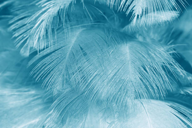 istock green turquoise vintage color trends chicken feather texture background 857663994