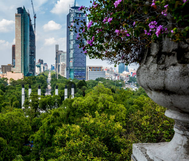 istock Reforma Avenue Promenade 857670684
