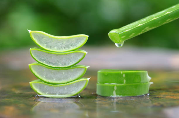 istock essential oil form aloe vera leaf on stone background 857673730
