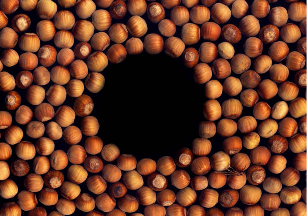 Background of hazelnuts on a black background with a circle in the middle