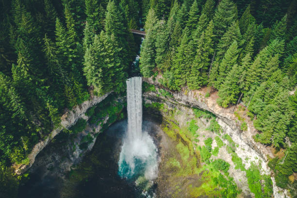 Stylized Aerial View of Waterfall in British Columbia Wilderness Birds eye view of Brandywine Falls by Whistler, Canada clearwater stock pictures, royalty-free photos & images