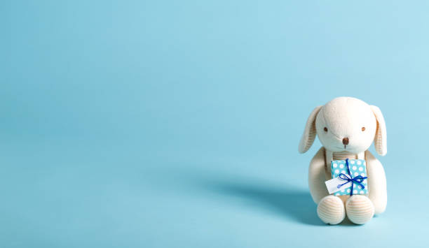 child-feier-theme mit geschenk und ausgestopfte tiere - männliches baby stock-fotos und bilder