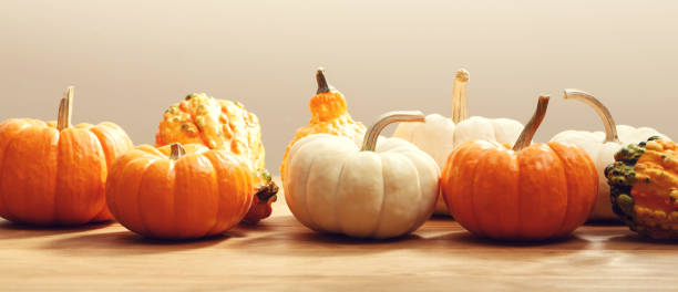 istock Pumpkins on a rustic wooden background 857693124
