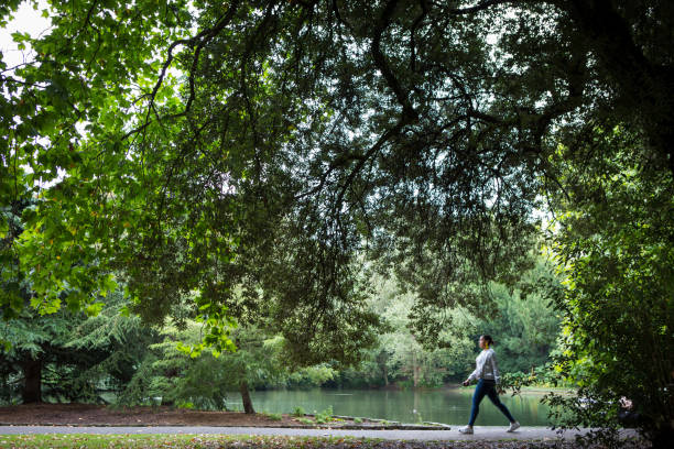 アフリカ系アメリカ人の女性が公共の公園を散歩します。 - battersea park ストックフォトと画像