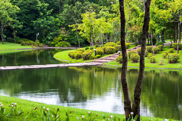 istock Pond in a park in thailand. 857704642