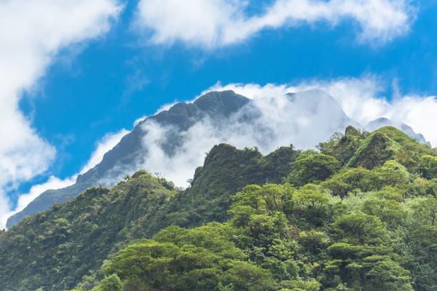 istock Tahiti, mountains in the Papenoo valley 857705084