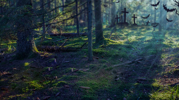 istock Halloween forest background. Spooky dark forest with moonlight. Misty forest at night with cemetery 857711484