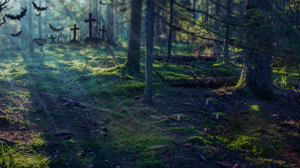 istock Halloween background. Spooky deep forest with moonlight. Misty forest at night 857712572
