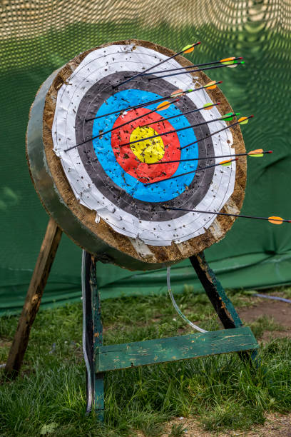 istock Archery target with arrows outdoor 857719756