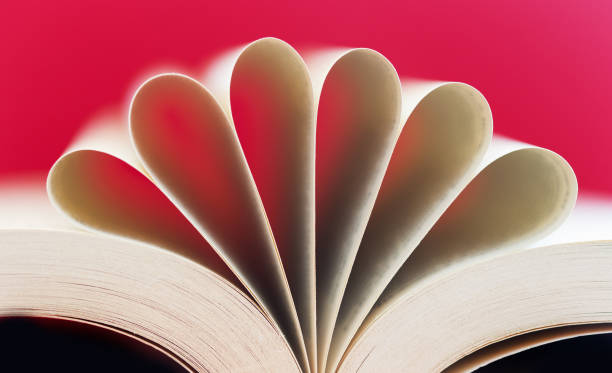 istock Macro view of book pages 857732866