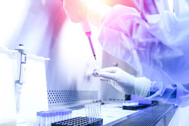 istock The scientist experimented in the laboratory 857733254