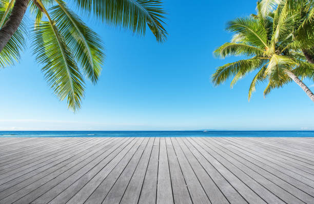 istock Wooden sea view terrace under palm trees 857733312