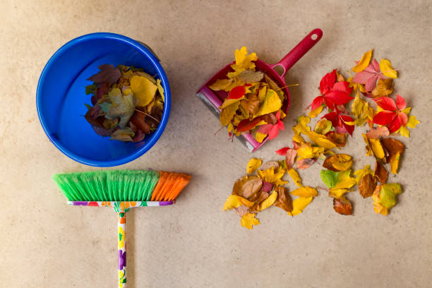 istock Cleaning the floor from dry autumn leaves 857736484