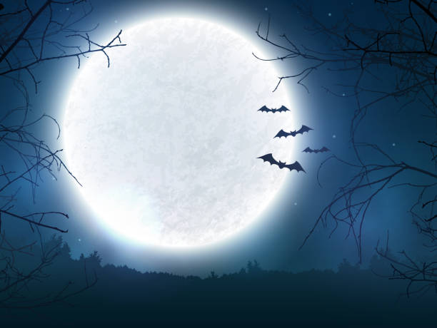 Spooky night background for Halloween banner. Spooky night background with full moon, scary trees and bats silhouettes. Halloween banner with copy space for greetings, promo text or invitation to a party. Vector illustration. moon backgrounds stock illustrations