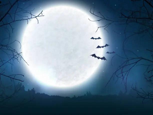 Vector illustration of Spooky night background for Halloween banner.