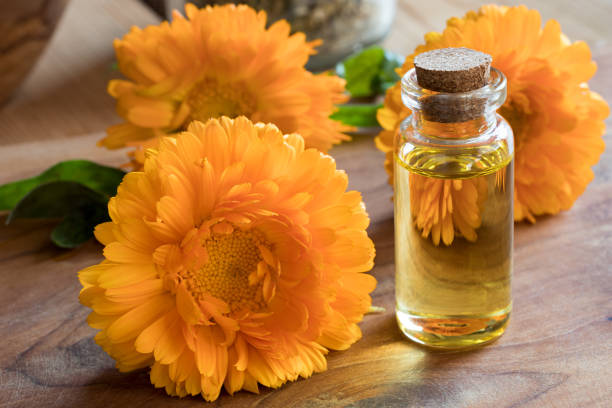 istock A bottle of calendula essential oil 857743718