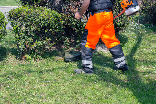 istock Worker mowing grass with petrol weed trimmer 857744036