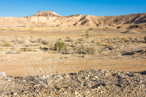 istock Rock formations in  the Southern Israel Negev Desert 857744210