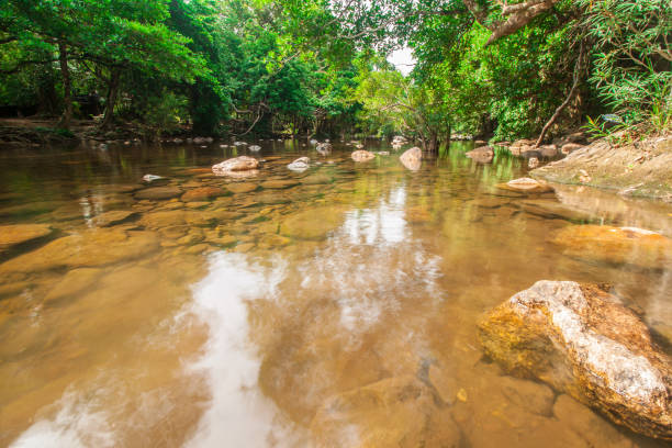 istock Rivers and fresh green forests 857758828