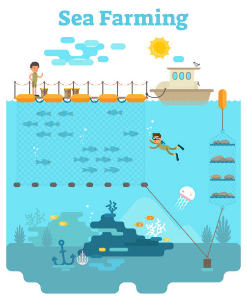 ilustrações de stock, clip art, desenhos animados e ícones de sea farming illustration - underwater mine