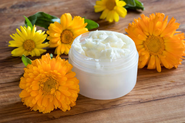 istock A jar of calendula cream 857771424